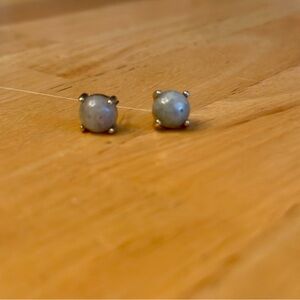 Labradorite Stud Earrings — Silver Setting